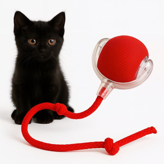 Automatischer Spielball für aktive Haustiere