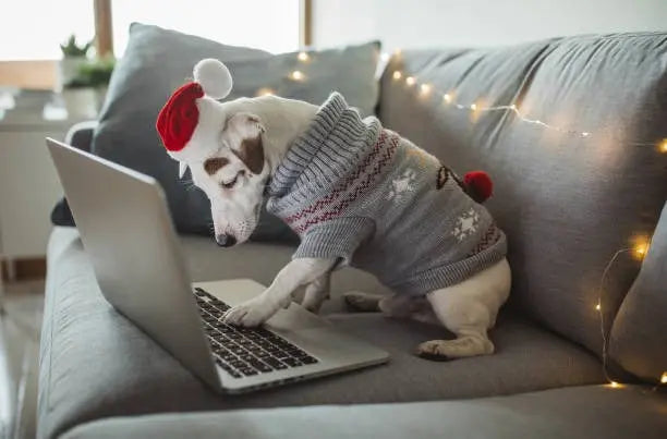 Für Haustierfreunde