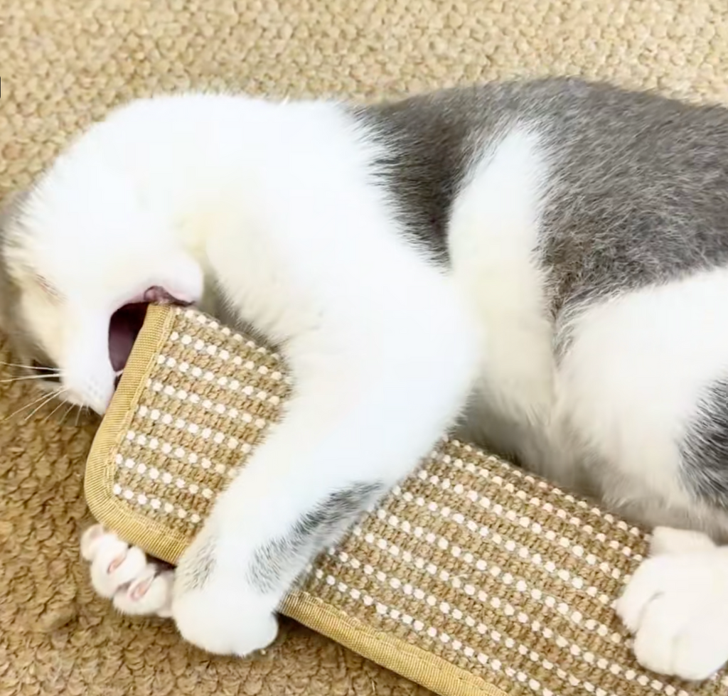 Sisal-Katzenspielzeug mit Katzenminze – Krallenpflege und Zahnreinigung