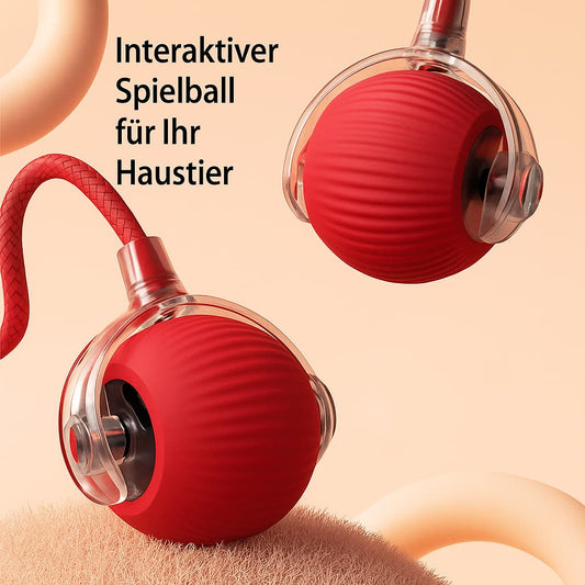 Automatischer Spielball für aktive Haustiere