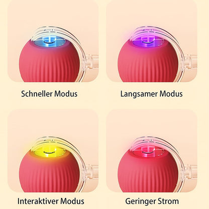 Automatischer Spielball für aktive Haustiere