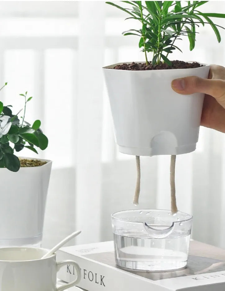 Selbstbewässernder Blumentopf mit integriertem Wassertank