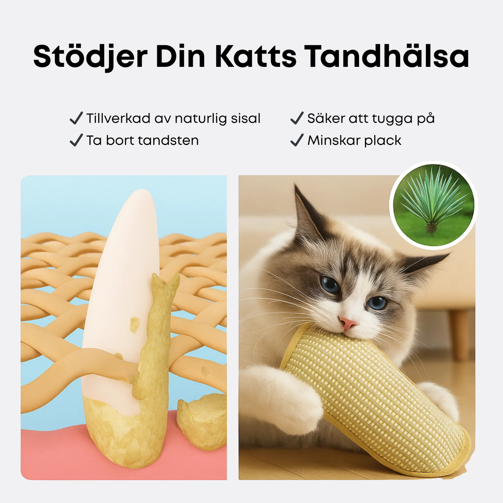 Sisal-Katzenspielzeug mit Katzenminze – Krallenpflege und Zahnreinigung