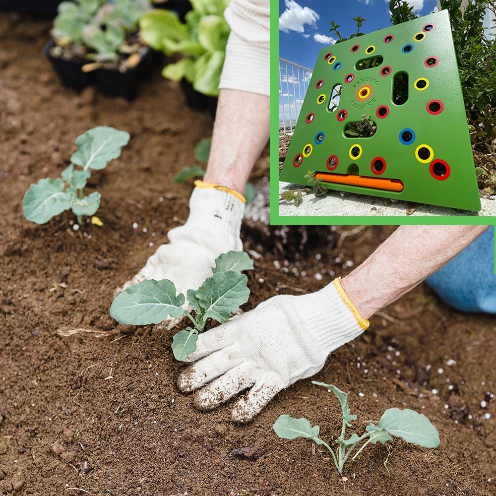 Garten-Pflanzraster mit Farbkodierung – Präzises Säen