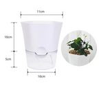 Selbstbewässernder Blumentopf mit integriertem Wassertank