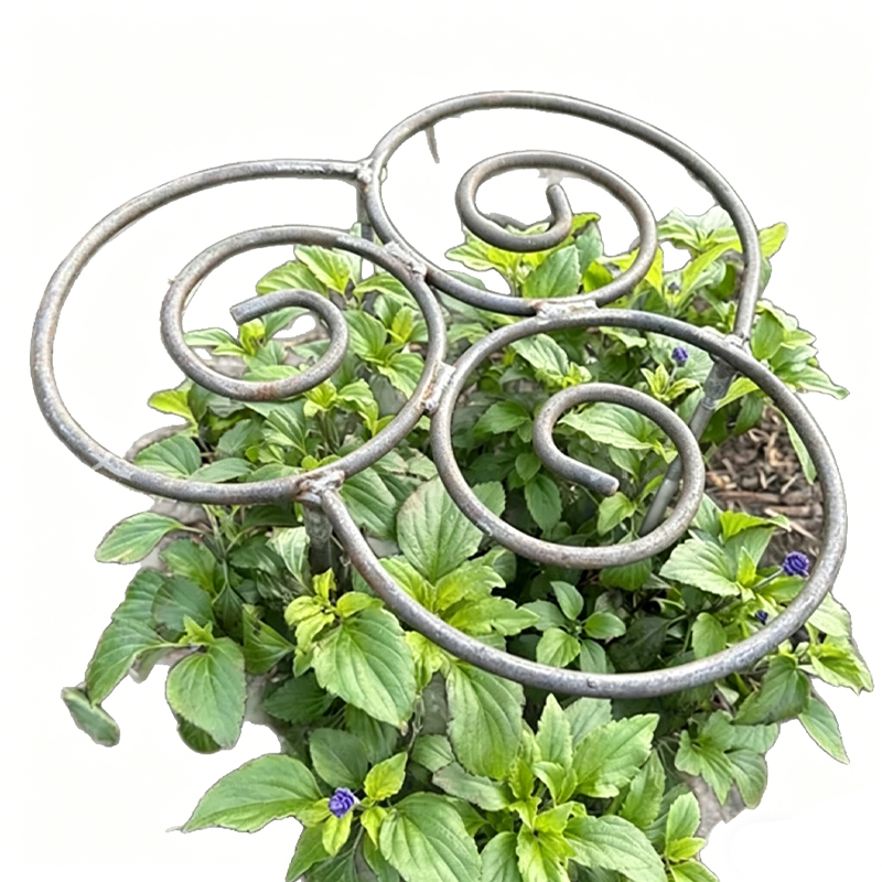 Pflanzenkorb Spirale Eisen – Stabile Blütenstütze für Garten