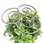 Spiralstütze aus Eisen für Blumen und Pflanzen