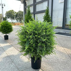 Künstlicher Zedernbaum für Eingangsbereiche