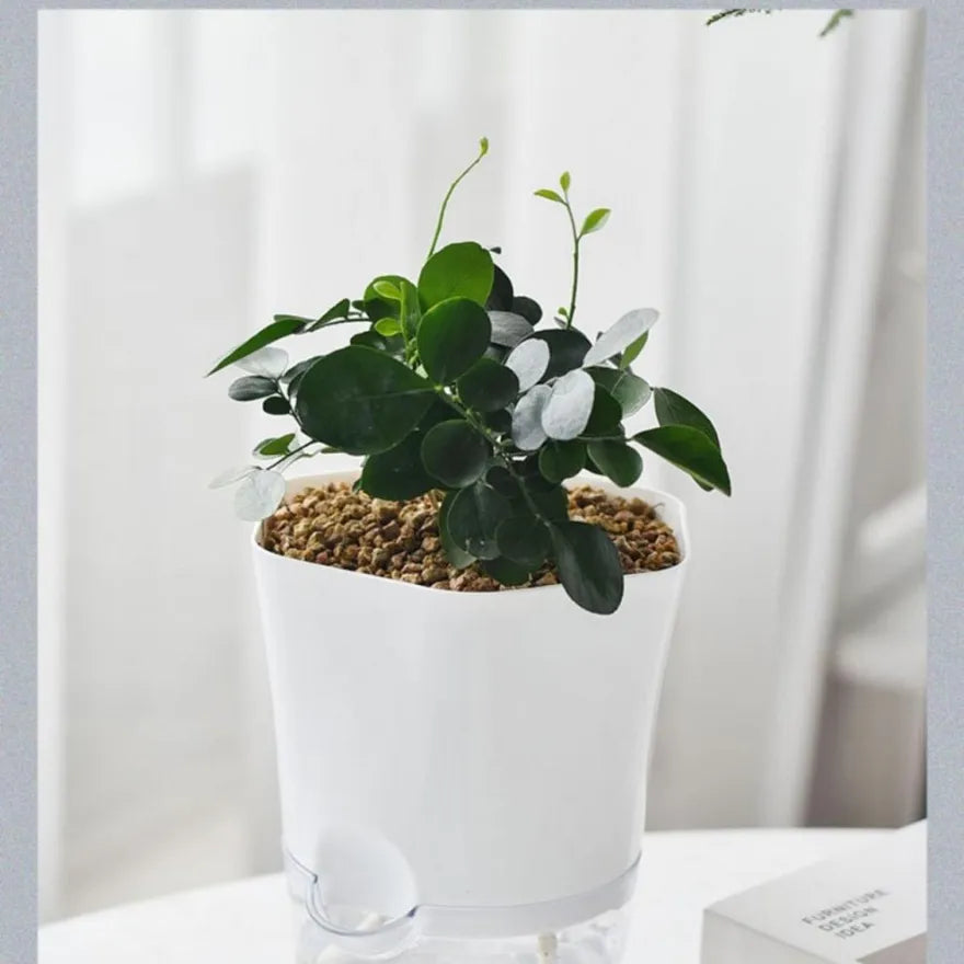 Selbstbewässernder Blumentopf mit integriertem Wassertank