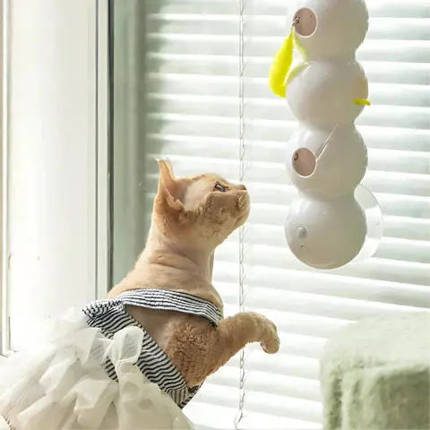 Bewegliches Wurmspielzeug für Katzen – Für endlosen Spaß & Aktivität