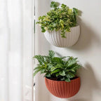 Wandplanzgefäss mit Rattan-Design