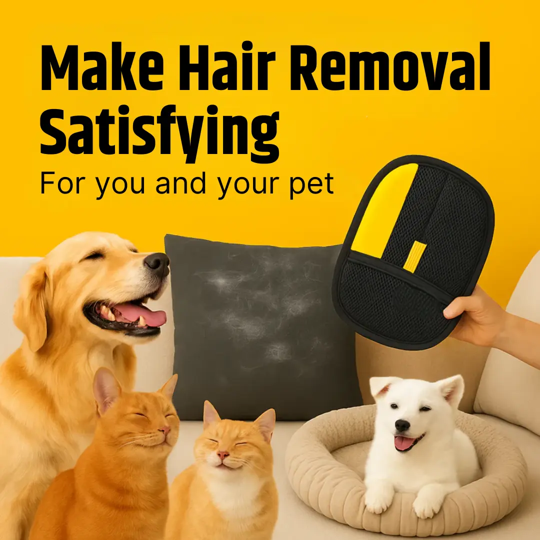 Handschuh gegen Tierhaare – Sauberkeit auf Sofa, Bett, Kleidung & mehr