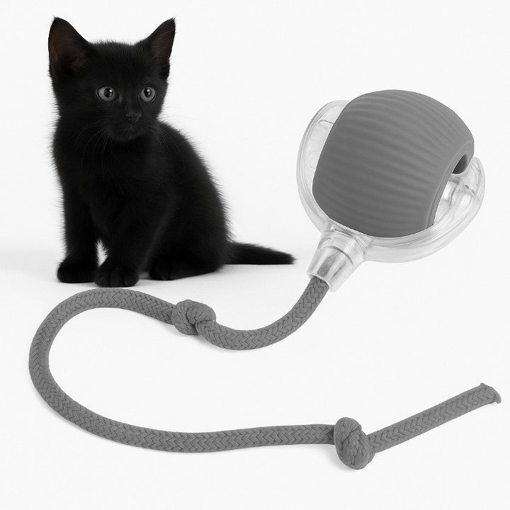 Automatischer Spielball für aktive Haustiere