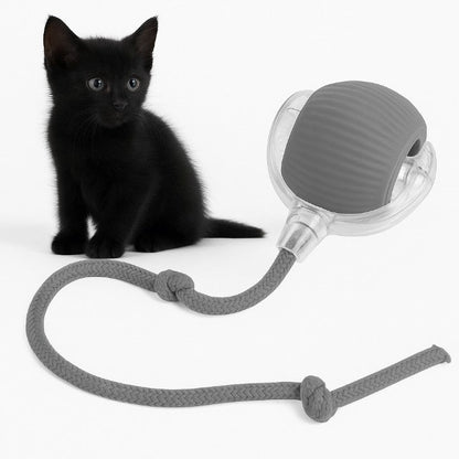 Automatischer Spielball für aktive Haustiere