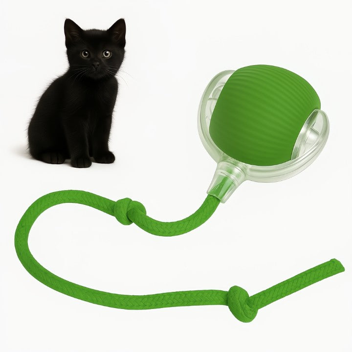 Automatischer Spielball für aktive Haustiere