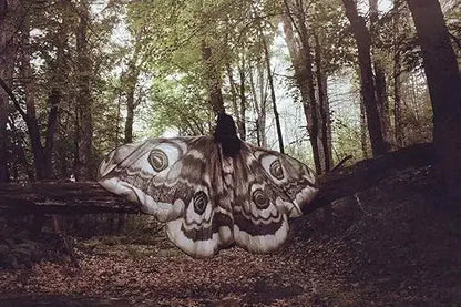 Mystischer Umhang „Grey Moth“ – Eleganter Zauber für Ihre Auftritte