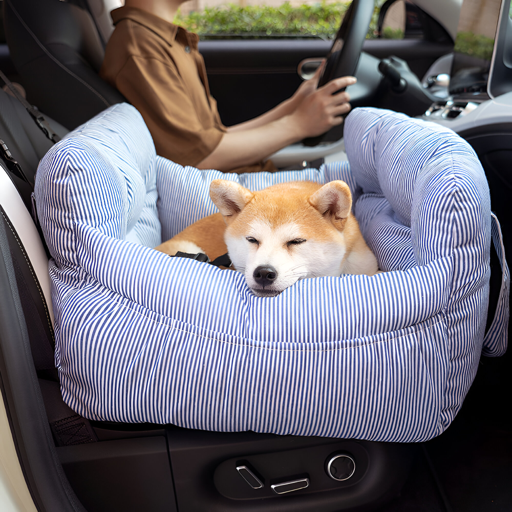 Gepolsterter Hunde-Autositz mit erhöhten Seitenwänden