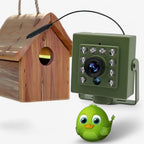 Vogelnest-Kamera mit HD-Aufzeichnung und Nachtsicht