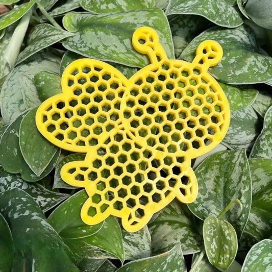 Trinkstation für Bienen | Schwimmender Schutz mit Beifuß