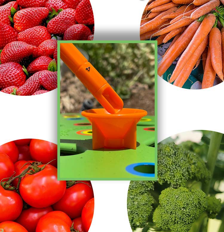 Garten-Pflanzraster mit Farbkodierung – Präzises Säen