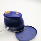 Dampfbügeleisen Handheld für Kleidung