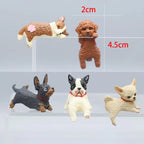Mini Katzen Figuren Set mit 5 verschiedenen Posen