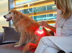 Laser-Therapiegerät für Haustiere – Low-Level-Lasertherapie
