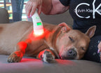 Laser-Therapiegerät für Haustiere – Low-Level-Lasertherapie