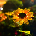 Solar Sonnenblumenleuchten mit LED-Beleuchtung für den Garten