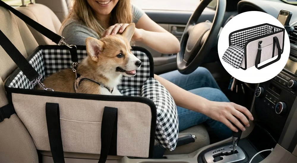Hunde-Autositz für kleine Hunde – sicher und komfortabel