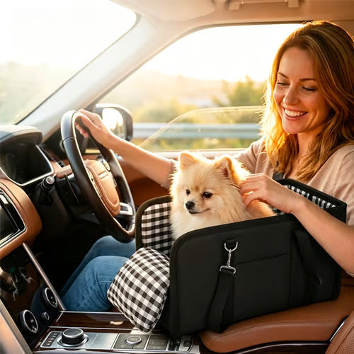 Hunde-Autositz für kleine Hunde – sicher und komfortabel