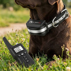 Hundetrainingshalsband mit Fernbedienung – 1000 m Reichweite